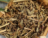 灯盏细辛（灯盏花）