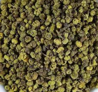 吴茱萸