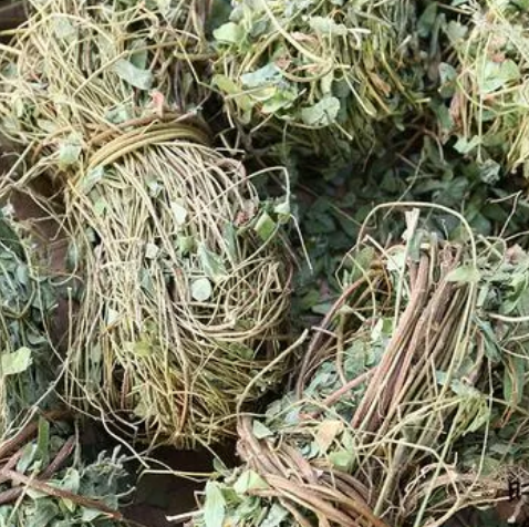 鸡骨草