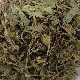 积雪草