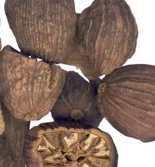 罂粟壳