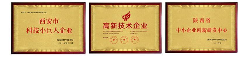 1640139940226996.jpg 45441.jpg