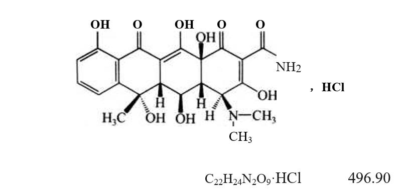 2823_p_1.png
