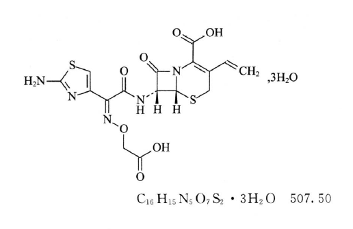 2513_p_7.png