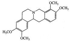 2513_p_7.png