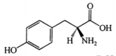 2513_p_7.png