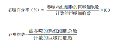 屏幕截图 2024-07-11 153418.png
