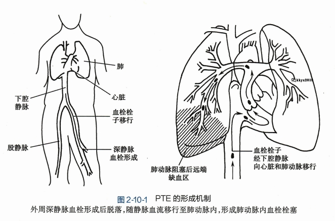 微信截图_20240719100952.png