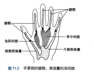屏幕截图 2024-07-22 111648.png