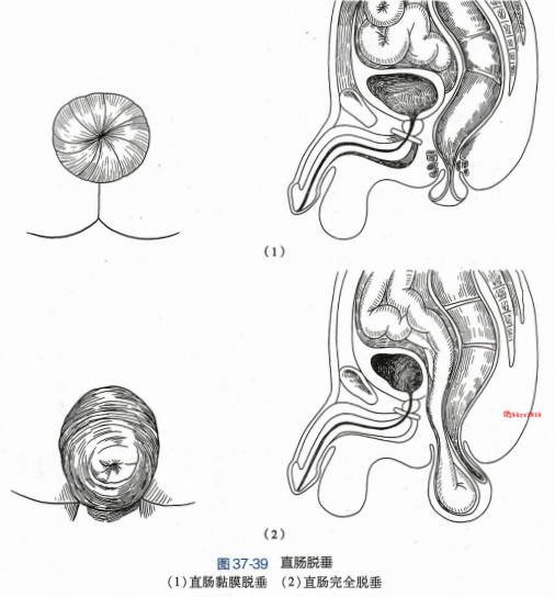 屏幕截图 2024-07-25 134737.png