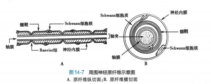 微信截图_20240816152257.png
