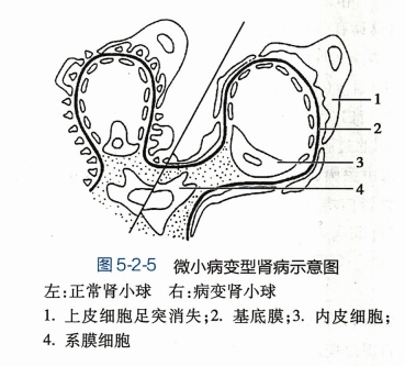 微信截图_20240827152736.png