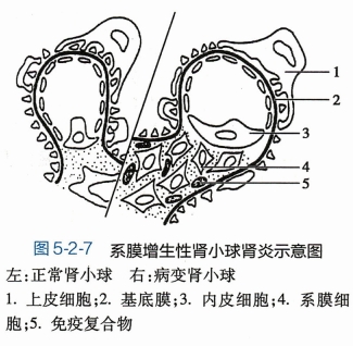 微信截图_20240827152759.png