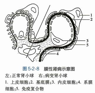 微信截图_20240827152818.png