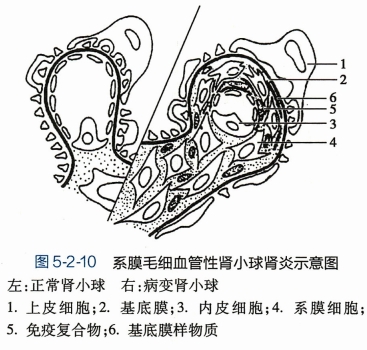 微信截图_20240827152824.png