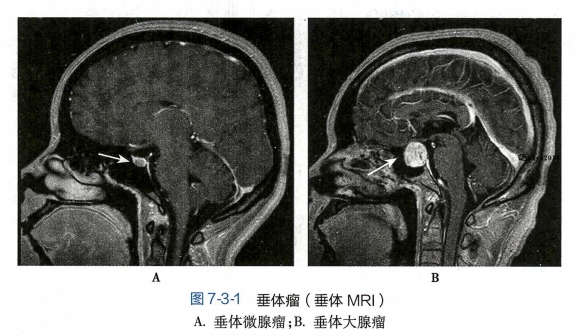 微信截图_20240909162807.png