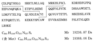 5815_p_1.png