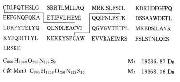5816_p_1.png