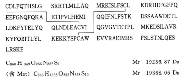 5817_p_1.png