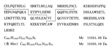 5824_p_1.png