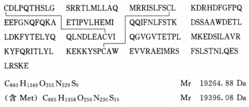 5825_p_1.png